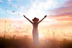 22    :         2023 