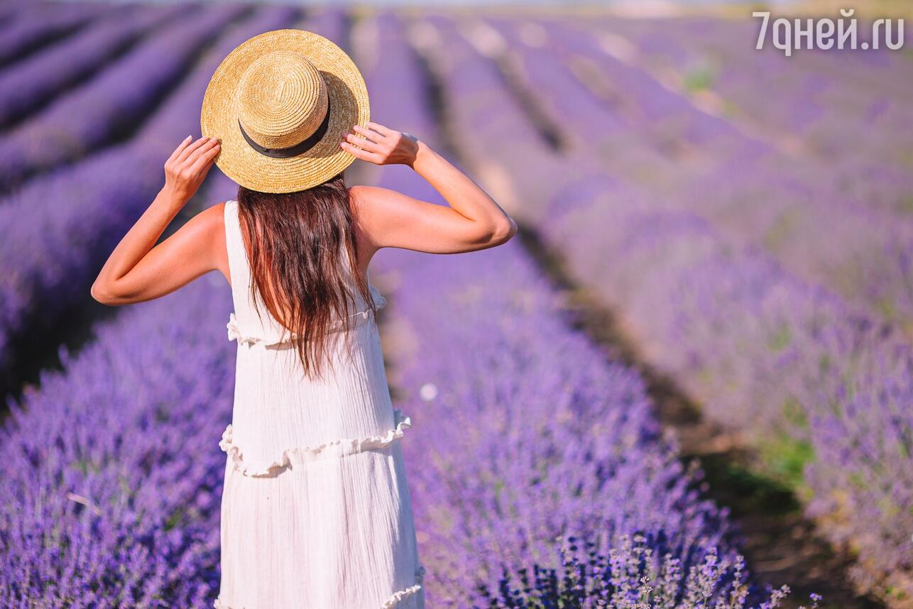 Поля лаванды в Крыму фото