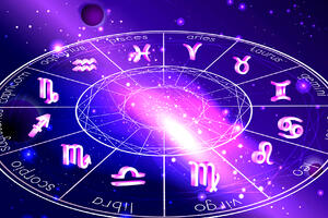   :   29  2025  25  2026    