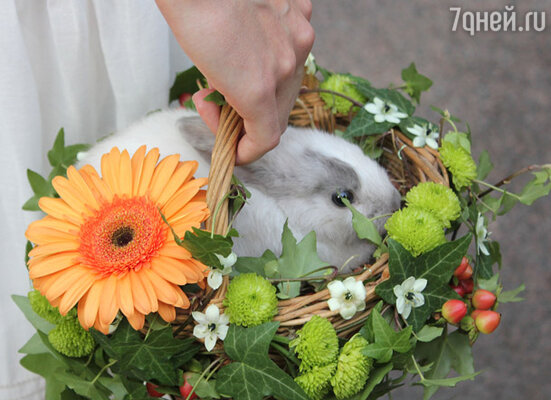 Праздник в стиле  сказок Льюиса Кэрролла