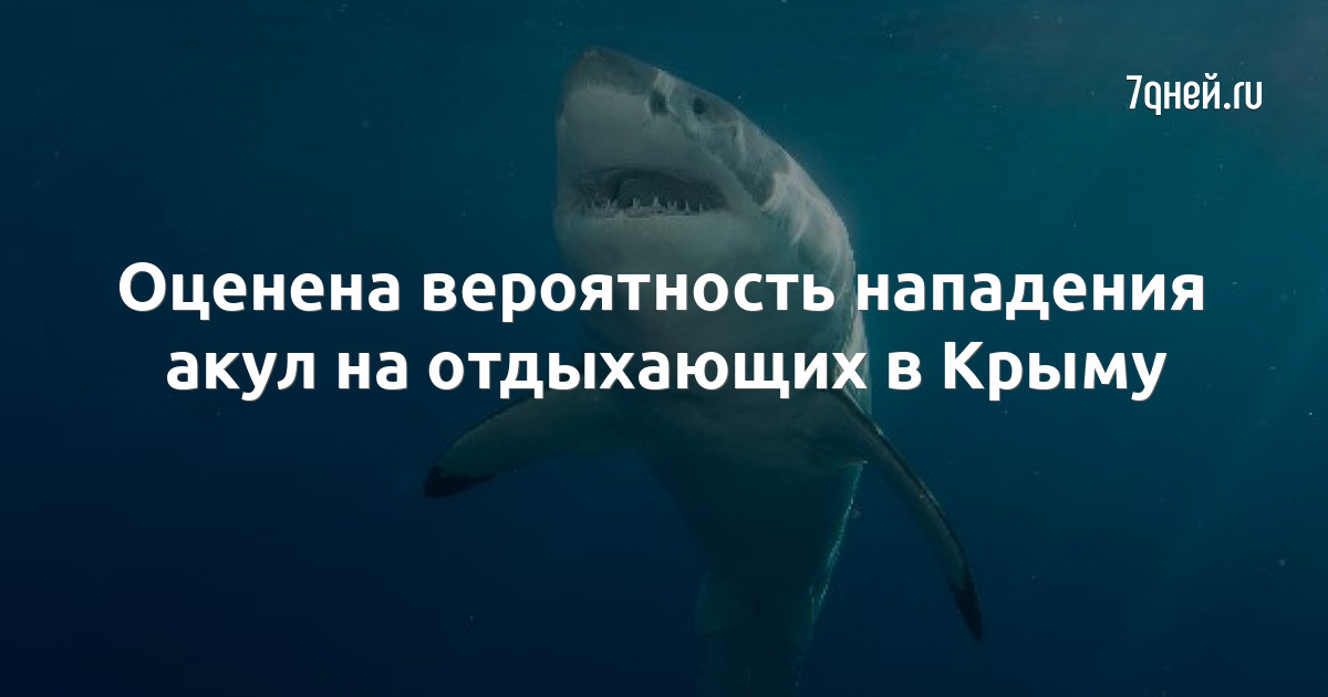 Нападение вероятность. Акулы в Крыму. Опасные акулы в Крыму. Вероятность нападения акулы. Страшные нападения акул.